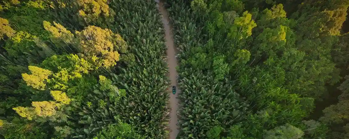 Malaysia The Jungles of Borneo-1